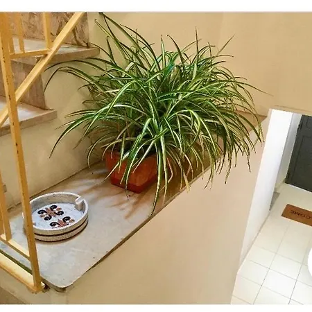 Casa Tanina * Scordia